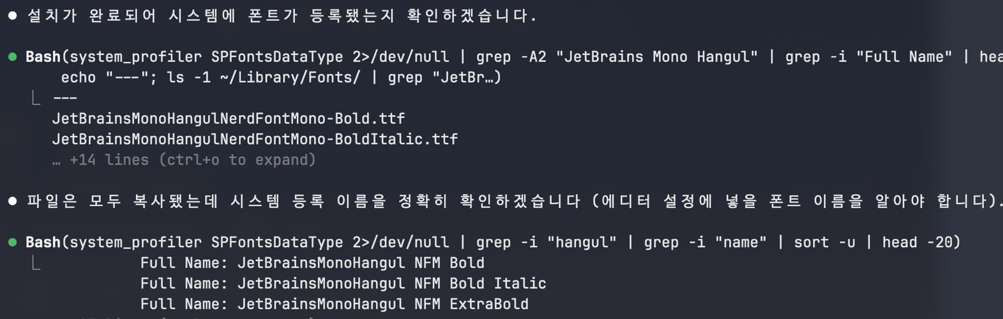 A Coding Font Odyssey: Hangul Comes to JetBrains Mono